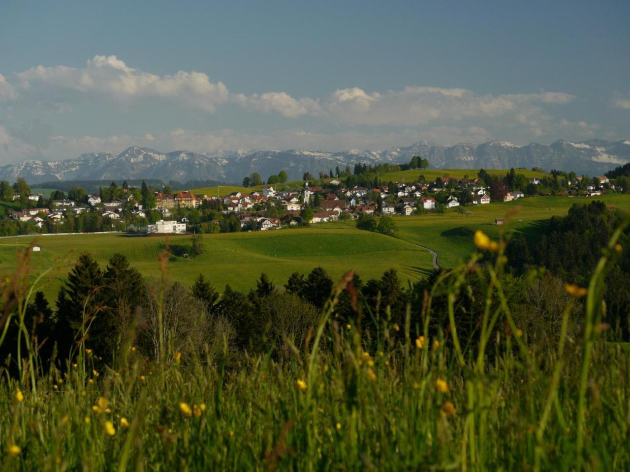 Hotel Alpenrose Gut Schlafen & Fruehstuecken 沙伊代格 外观 照片