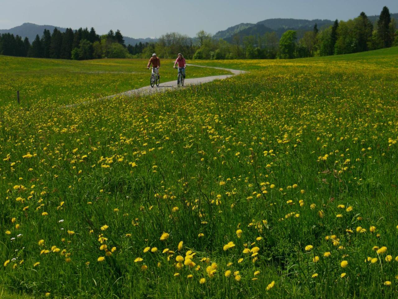Hotel Alpenrose Gut Schlafen & Fruehstuecken 沙伊代格 外观 照片